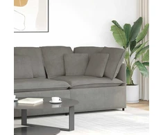 Modulinė kampinė sofa su pagalvėlėmis, šviesiai pilka, 100 cm