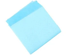 Neaustinės medžiagos augintinių treniruočių pagalvėlė 50 pcs