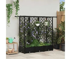 Pakeltas lovas su trelėmis ir stogu Juodas 164 x 40 x 123 cm PP