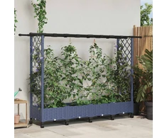 Pakeltas lovas su trelėmis ir stogu Pilka 203 x 40 x 127 cm PP