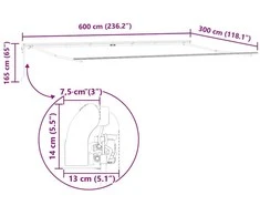 Markizės rėmas Balta 600 × 300 cm Aliuminis