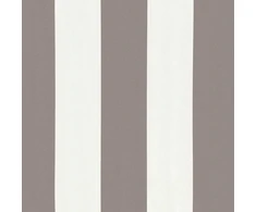Ištraukiama markizė Šviesiai pilka ir balta. 350 x 250 cm