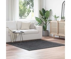 Neslystantis plaukuotas kilimas Tamsiai pilka 160 x 160 cm PP