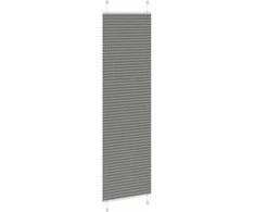 Plisuotas roletas antracitas 60x200 cm audinio plotis 59,4 cm