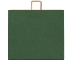 Popieriniai maišeliai 250vnt. su rankenomis, žalios, 54x15x49cm