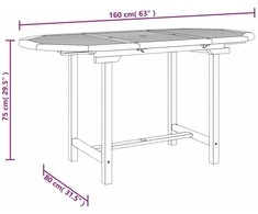 Prailginamas sodo stalas, 110–160x80x75, tikmedžio masyvas