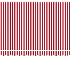 Ištraukiama markizė Raudona ir balta 300 x 250 cm