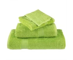 Svečių Rankšluostis SOLUND 4 pcs Žalia 15 x 21 cm 550 gsm