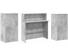 Registratūra, betono pilkas, 200x50x103,5 cm, apdirbta mediena