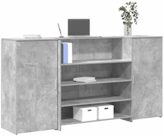 Registratūra, betono pilkas, 200x50x103,5 cm, apdirbta mediena