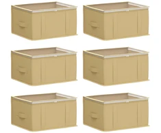 Saugojimo dėžė su permatomu viršutiniu langu 6 pcs Kreminė