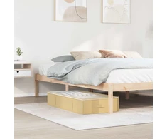 Saugojimo dėžė su permatomu viršutiniu langu 6 pcs Kreminė