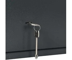 SentrySafe Seifo dėžė su užraktu Tamsiai pilka 35 x 25 x 25 cm Plienas