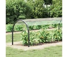 Skaidrus brezentas su ąselėmis 1x6 m PVC