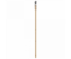 Slankios durys Natūrali 73,5 x 211 cm Pušies medienos masyvas