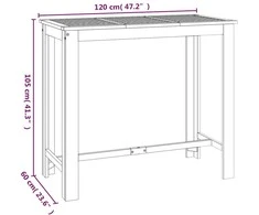Sodo baro stalas, 120x60x105cm, akacijos medienos masyvas