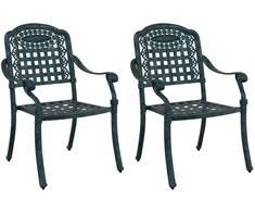 Sodo Kėdė 2 pcs Žalia 55 x 56,5 x 91cm Aliuminis