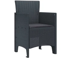 Sodo Kėdė 4 pcs Antracitas 53 x 49 x 85 cm Polipropilenas