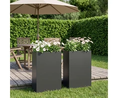 Sodo vazonas 2 vnt. Juoda 50 x 20 x 75 cm