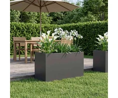 Sodo vazonas Juoda 100 x 50 x 50 cm Šaltai valcuotas plienas