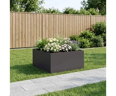 Sodo vazonas Juoda 60 x 60 x 40 cm Šaltai valcuotas plienas