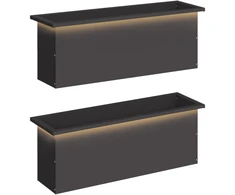 Sodo vazonas su LED 2 vnt. Juoda 30 x 100 x 30 cm Plienas