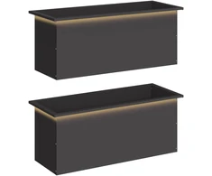 Sodo vazonas su LED 2 vnt. Juoda 40 x 100 x 40 cm Plienas