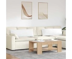 Sofa Pagalvės 2 pcs Balta 120 x 40 cm audinys