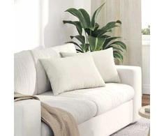 Sofa Pagalvės 2 pcs Kreminė 60 x 40 cm Kordūrinis audinys