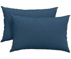 Sofa Pagalvės 2 pcs Mėlyna 60 x 40 cm audinys