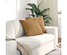 Sofa Pagalvės 2 pcs Ruda 45 x 45 cm Kordūrinis audinys