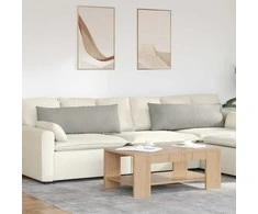 Sofa Pagalvės 2 pcs Šviesiai pilka 120 x 40 cm audinys