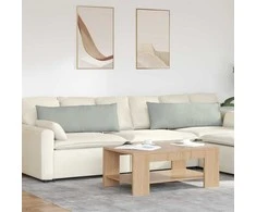 Sofa Pagalvės 2 pcs Šviesiai pilka 120 x 40 cm