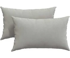 Sofa Pagalvės 2 pcs Šviesiai pilka 50 x 30 cm audinys