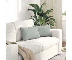 Sofa Pagalvės 2 pcs Šviesiai pilka 50 x 30 cm