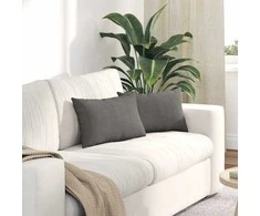 Sofa Pagalvės 2 pcs Šviesiai pilka 50 x 30 cm