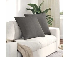 Sofa Pagalvės 2 pcs Šviesiai pilka 60 x 60 cm