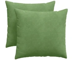Sofa Pagalvės 2 pcs Šviesiai žalia 45 x 45 cm