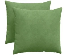 Sofa Pagalvės 2 pcs Šviesiai žalia 50 x 50 cm