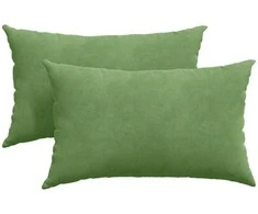 Sofa Pagalvės 2 pcs Šviesiai žalia 50 x 30 cm