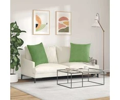 Sofa Pagalvės 2 pcs Šviesiai žalia 60 x 60 cm