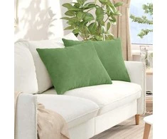 Sofa Pagalvės 2 pcs Šviesiai žalia 70 x 50 cm