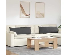 Sofa Pagalvės 2 pcs Tamsiai pilka 120 x 40 cm