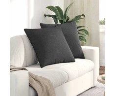 Sofa Pagalvės 2 pcs Tamsiai pilka 80 x 80 cm Kordūrinis audinys