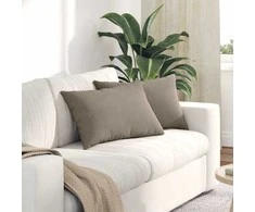Sofa Pagalvės 2 pcs Taupe 60 x 40 cm audinys