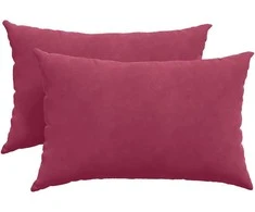 Sofa Pagalvės 2 pcs Vyno raudona 60 x 40 cm Kordūrinis audinys