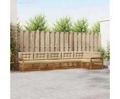 Lauko sofos komplektas su pagalve 6 pcs Natūralus ir bežinis