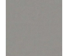 Sukamosios stalo kėdės 2 vnt. 54 x 55 x 90 cm Šviesiai pilka