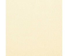 Sulankstoma šoninė terasos markizė, krem., 300x200cm
