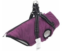 Šuns Kailinis Violetinė L36 Fleece ir poliesteris